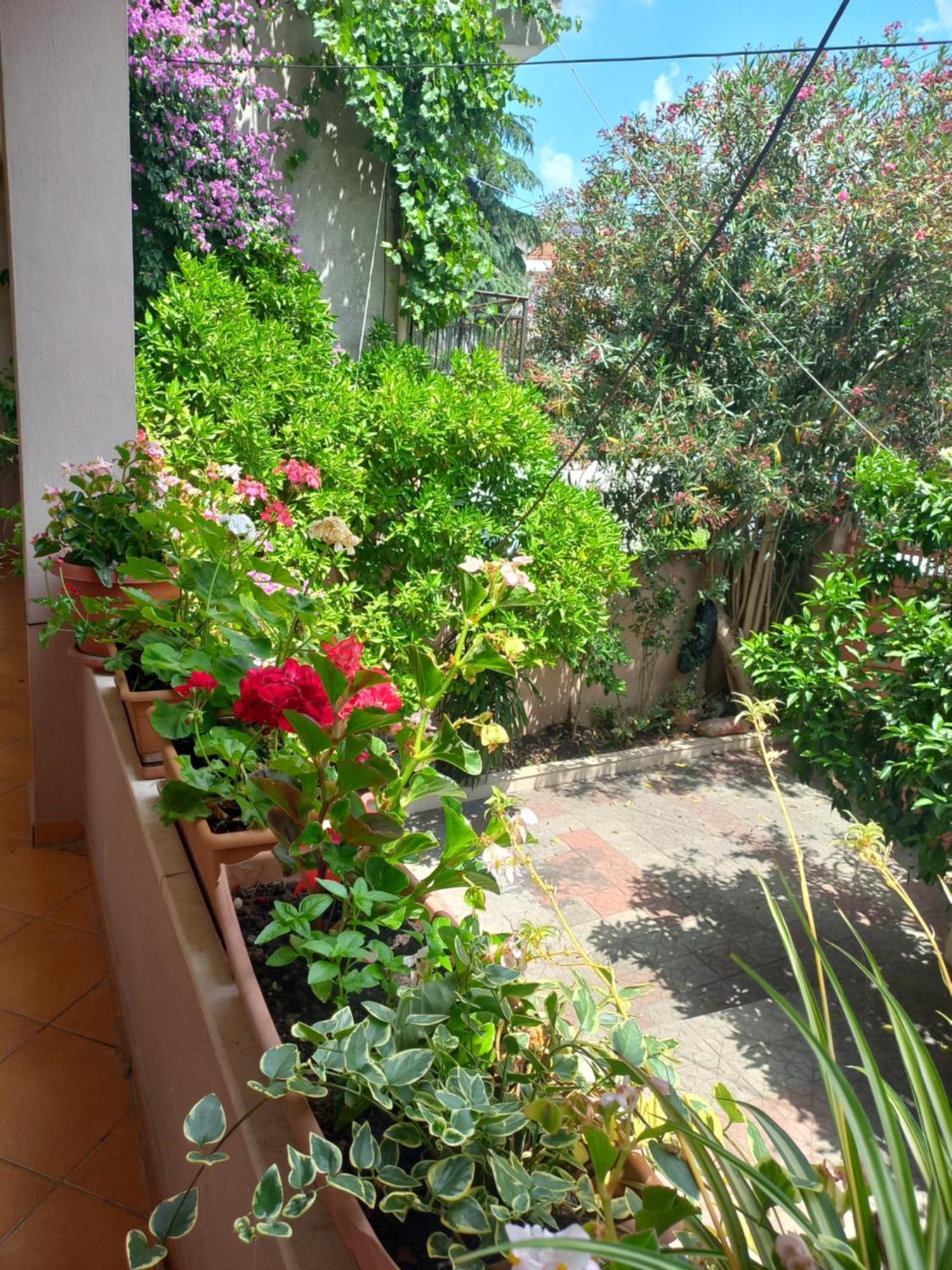 Flowers Guesthouse Тирана Екстер'єр фото